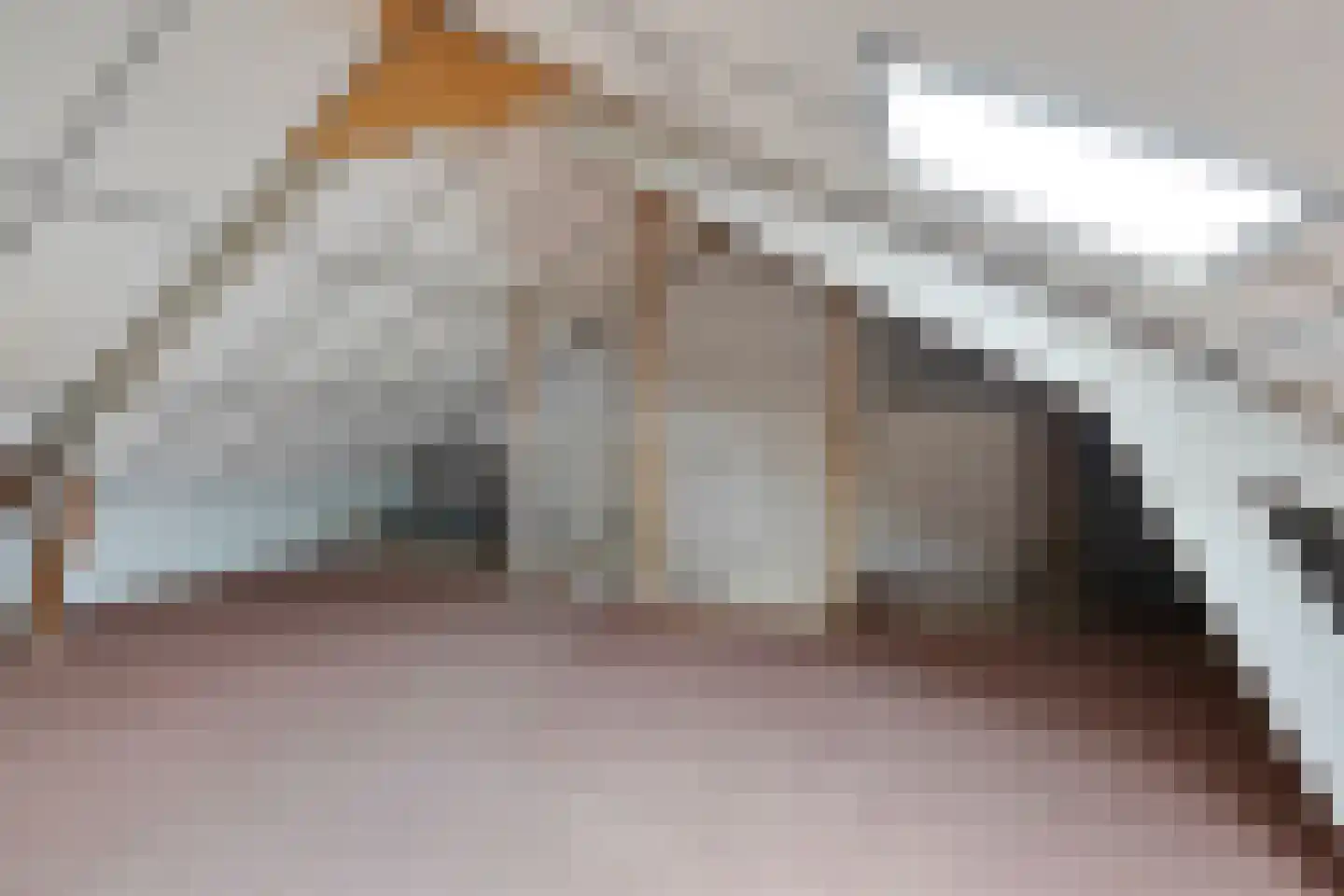 Johann Straussstraat 19 Waalwijk thumbnail 21