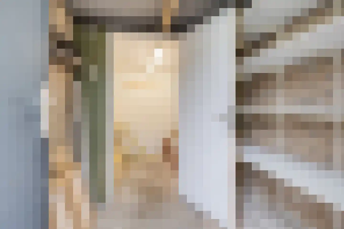 Johann Straussstraat 19 Waalwijk thumbnail 26