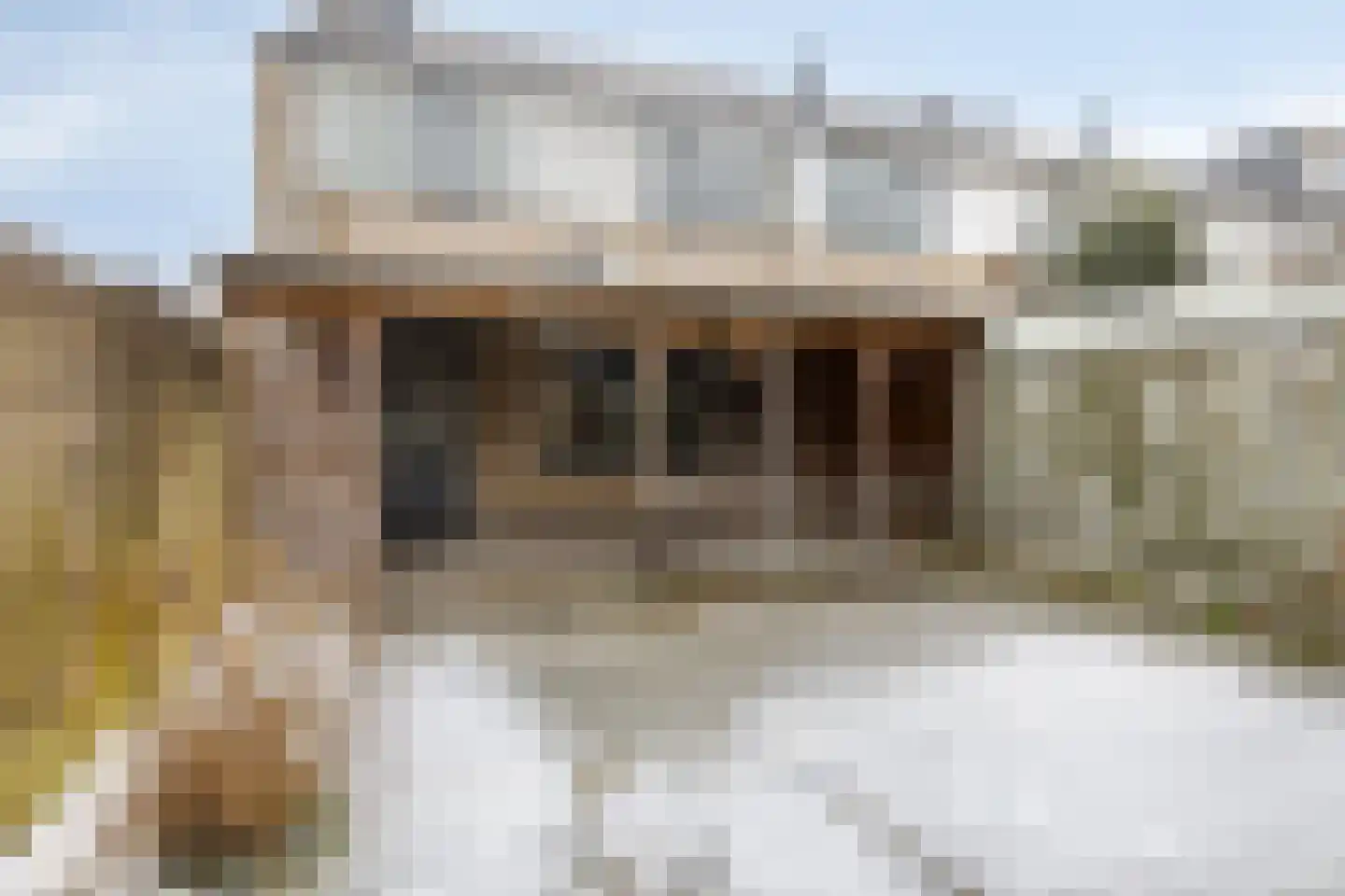 Johann Straussstraat 19 Waalwijk thumbnail 4