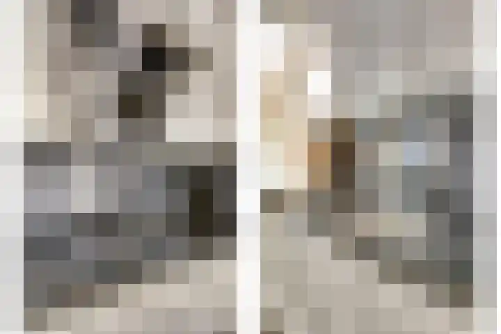 Johann Straussstraat 27 Waalwijk thumbnail 14