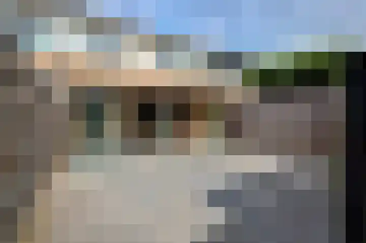 Johann Straussstraat 27 Waalwijk thumbnail 33