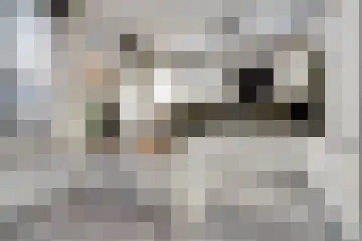 Johann Straussstraat 27 Waalwijk thumbnail 5