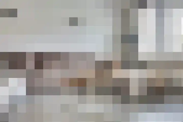 Johann Straussstraat 27 Waalwijk thumbnail 9