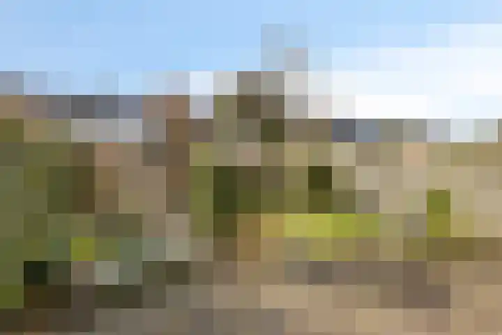 Johann Strauszlaan 14 Akersloot thumbnail 10