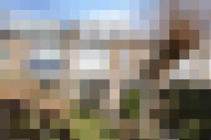 Johann Strauszlaan 14 Akersloot thumbnail 12