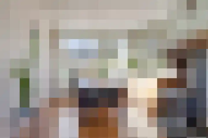 Johann Strauszlaan 14 Akersloot thumbnail 5