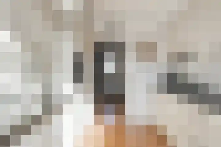 Johann Strauszlaan 14 Akersloot thumbnail 7