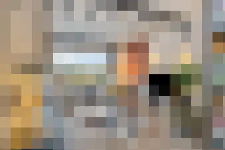 Johann Strauszstraat 10 Halsteren thumbnail 10