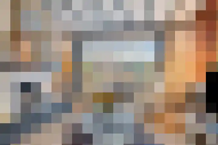 Johann Strauszstraat 10 Halsteren thumbnail 11