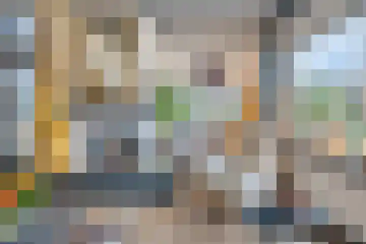 Johann Strauszstraat 10 Halsteren thumbnail 12