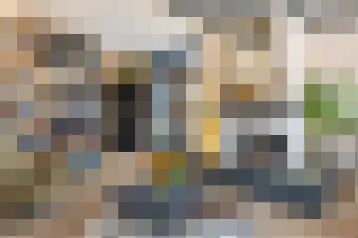 Johann Strauszstraat 10 Halsteren thumbnail 13