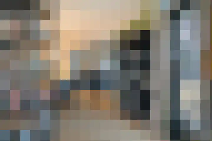 Johann Strauszstraat 10 Halsteren thumbnail 14