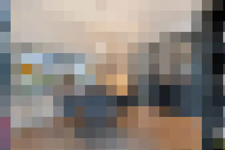 Johann Strauszstraat 10 Halsteren thumbnail 15