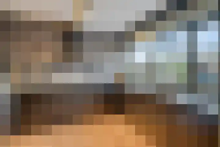 Johann Strauszstraat 10 Halsteren thumbnail 17