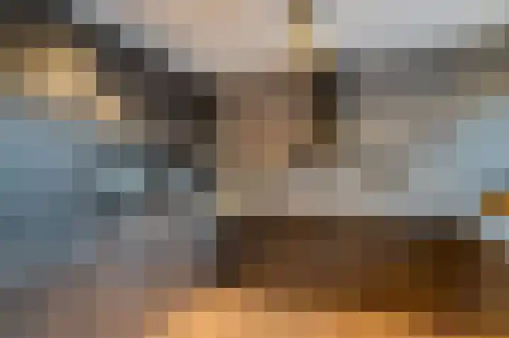 Johann Strauszstraat 10 Halsteren thumbnail 19