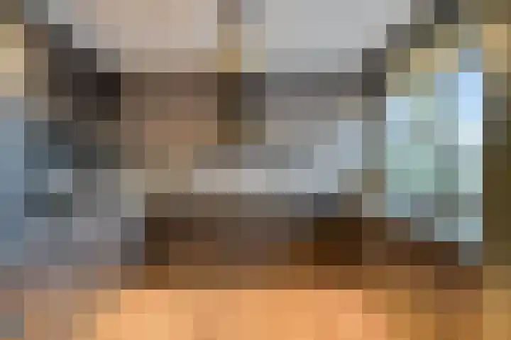 Johann Strauszstraat 10 Halsteren thumbnail 20