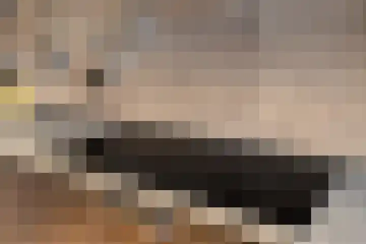 Johann Strauszstraat 10 Halsteren thumbnail 21