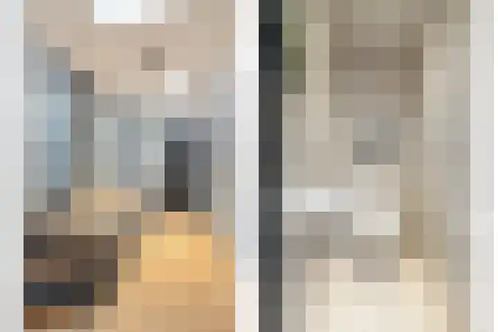 Johann Strauszstraat 10 Halsteren thumbnail 22