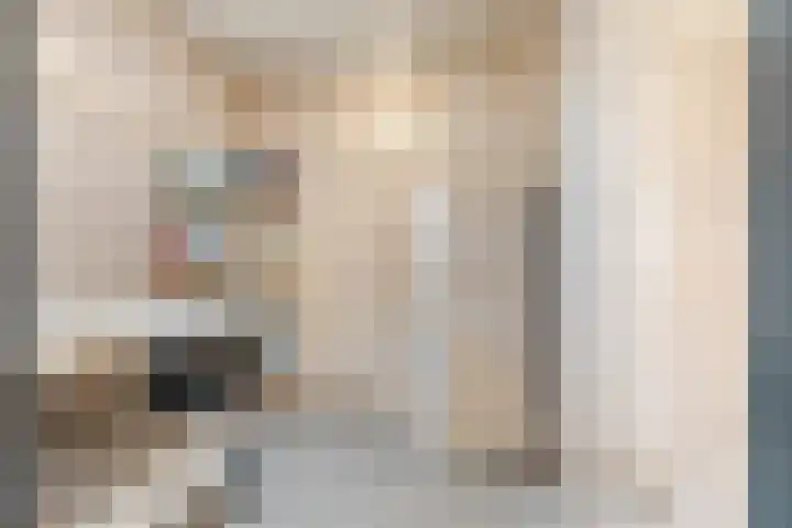 Johann Strauszstraat 10 Halsteren thumbnail 23