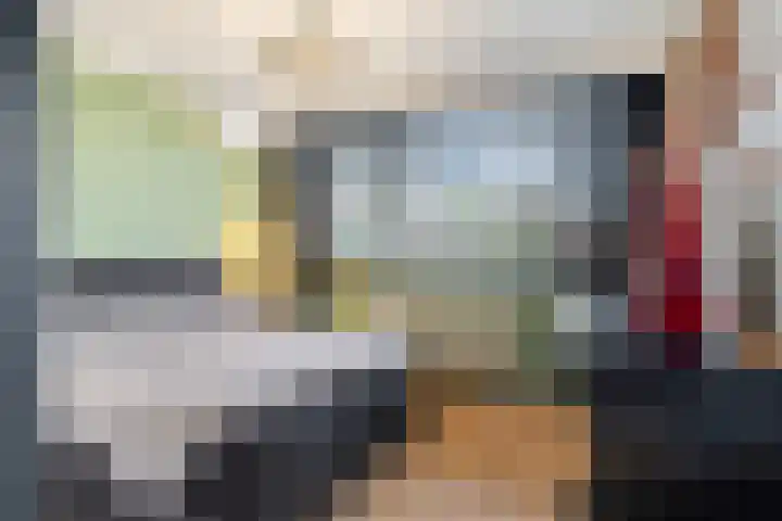 Johann Strauszstraat 10 Halsteren thumbnail 24