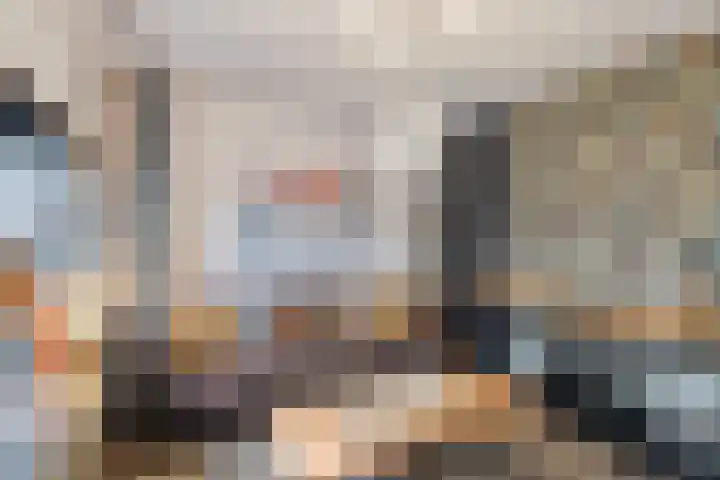 Johann Strauszstraat 10 Halsteren thumbnail 28