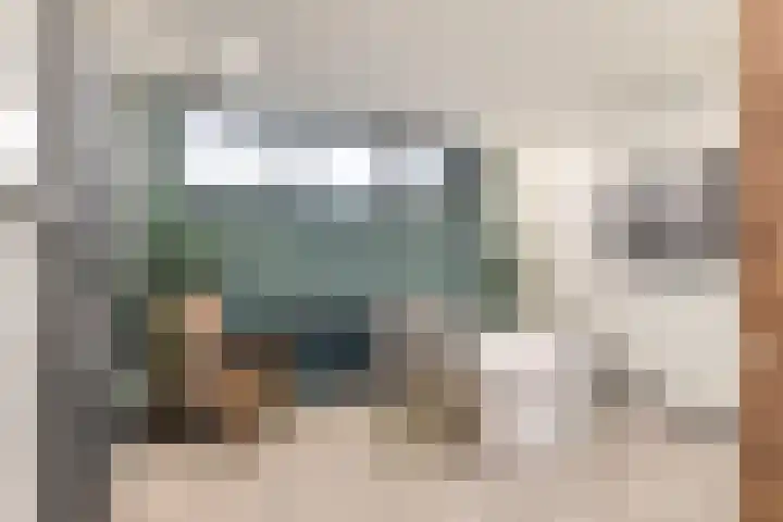Johann Strauszstraat 10 Halsteren thumbnail 29