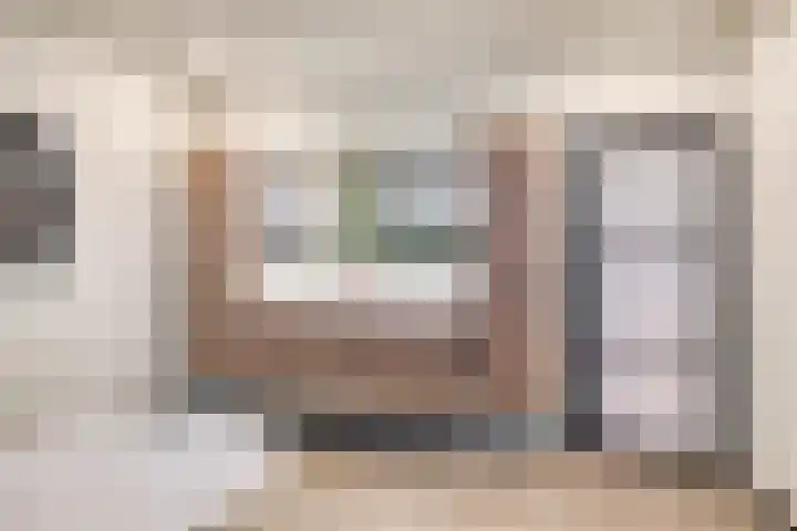 Johann Strauszstraat 10 Halsteren thumbnail 30