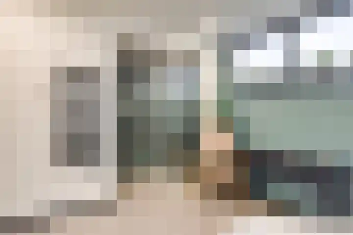 Johann Strauszstraat 10 Halsteren thumbnail 31