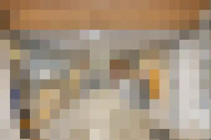 Johann Strauszstraat 10 Halsteren thumbnail 33