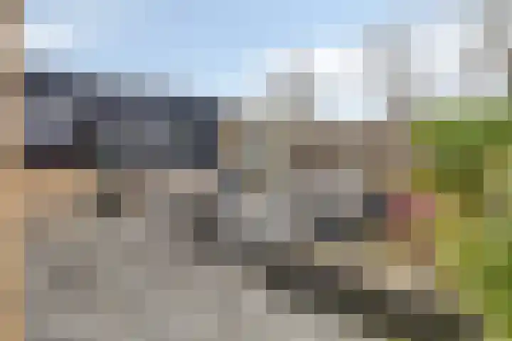 Johann Strauszstraat 10 Halsteren thumbnail 34