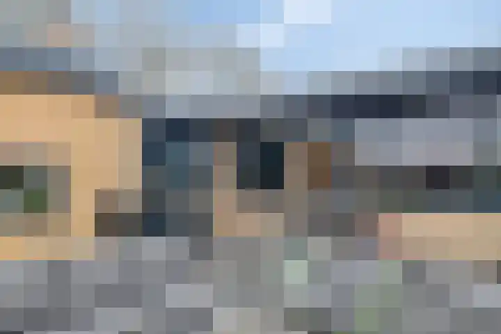 Johann Strauszstraat 10 Halsteren thumbnail 36