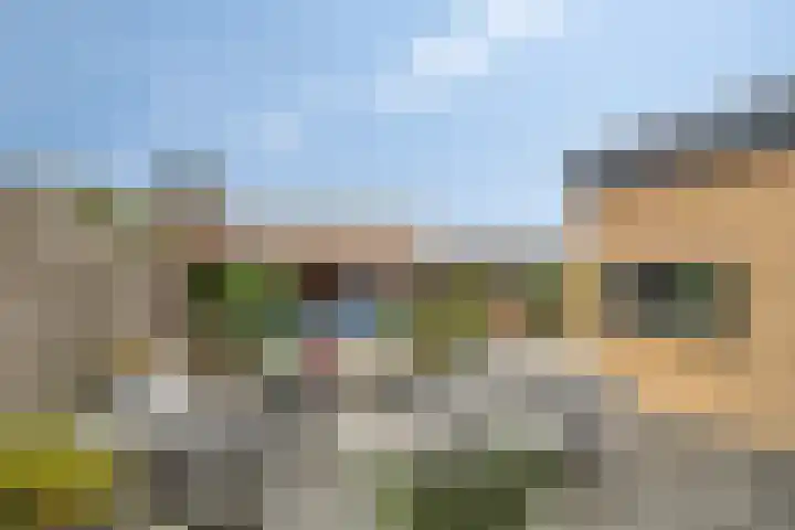 Johann Strauszstraat 10 Halsteren thumbnail 39