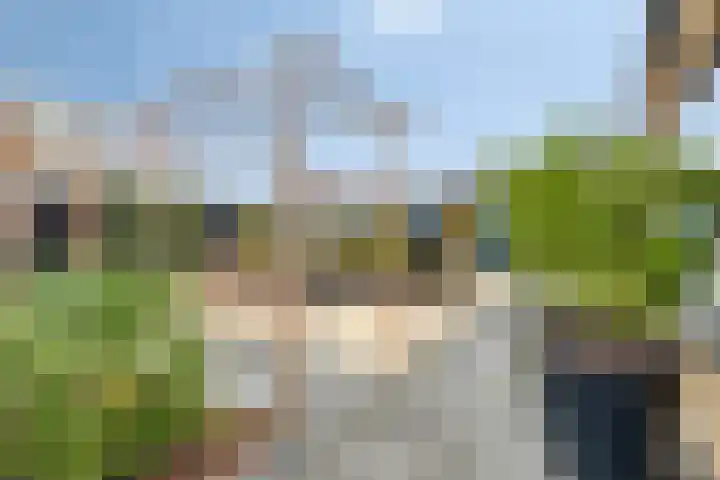 Johann Strauszstraat 10 Halsteren thumbnail 44