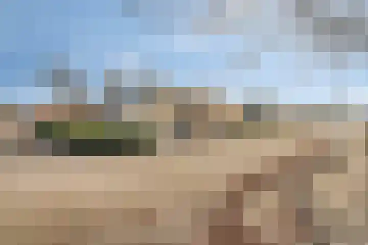 Johann Strauszstraat 10 Halsteren thumbnail 47
