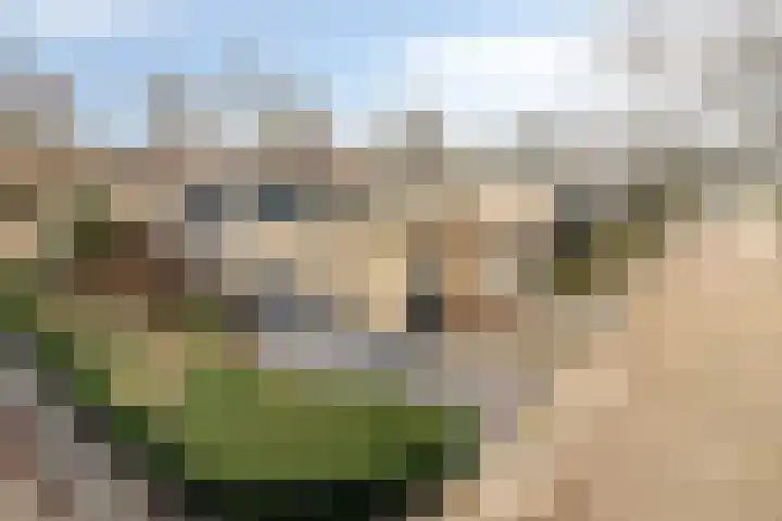 Johann Strauszstraat 10 Halsteren thumbnail 48