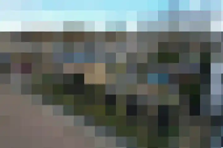 Johann Strauszstraat 10 Halsteren thumbnail 50