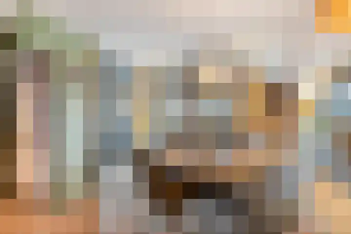 Johann Strauszstraat 10 Halsteren thumbnail 8