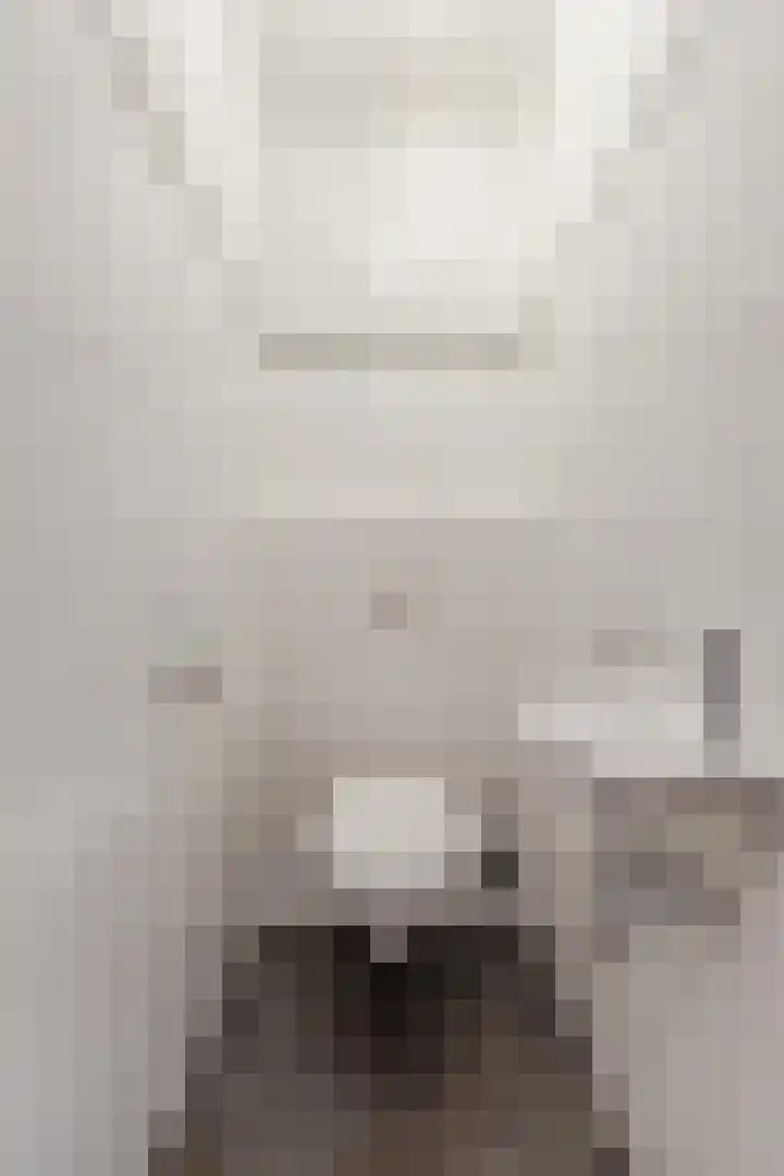 Johann Strauszstraat 25 Halsteren thumbnail 12