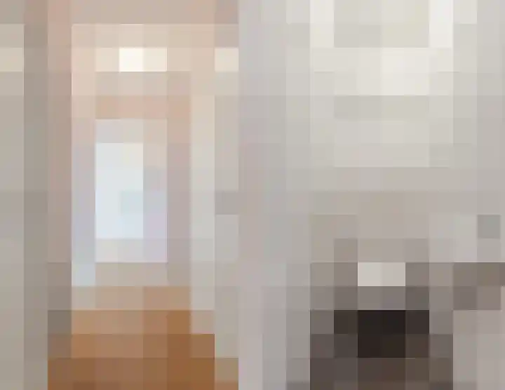 Johann Strauszstraat 25 Halsteren thumbnail 13