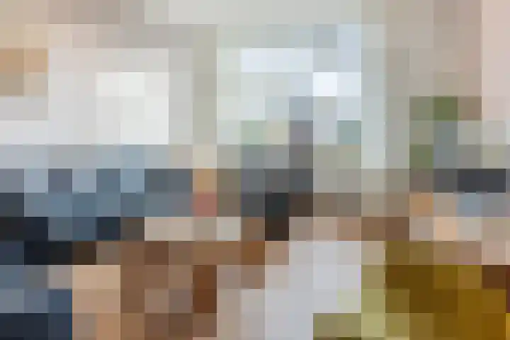 Johann Strauszstraat 25 Halsteren thumbnail 14
