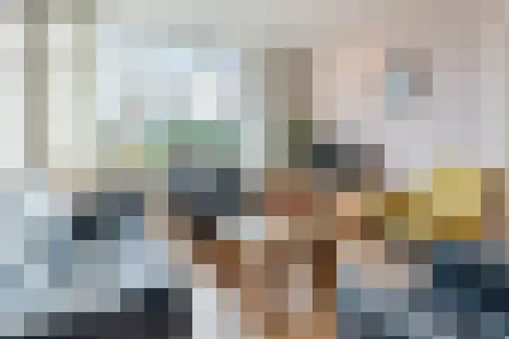 Johann Strauszstraat 25 Halsteren thumbnail 15