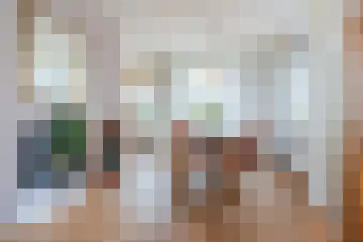Johann Strauszstraat 25 Halsteren thumbnail 17