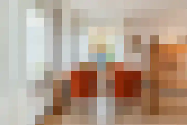 Johann Strauszstraat 25 Halsteren thumbnail 20