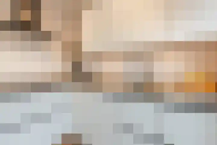 Johann Strauszstraat 25 Halsteren thumbnail 21