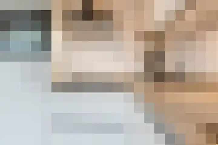 Johann Strauszstraat 25 Halsteren thumbnail 22