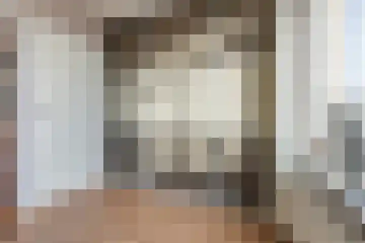 Johann Strauszstraat 25 Halsteren thumbnail 29