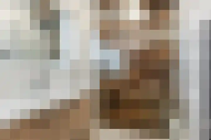 Johann Strauszstraat 25 Halsteren thumbnail 30