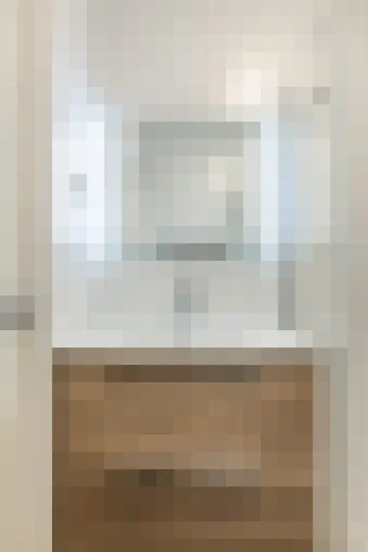 Johann Strauszstraat 25 Halsteren thumbnail 31