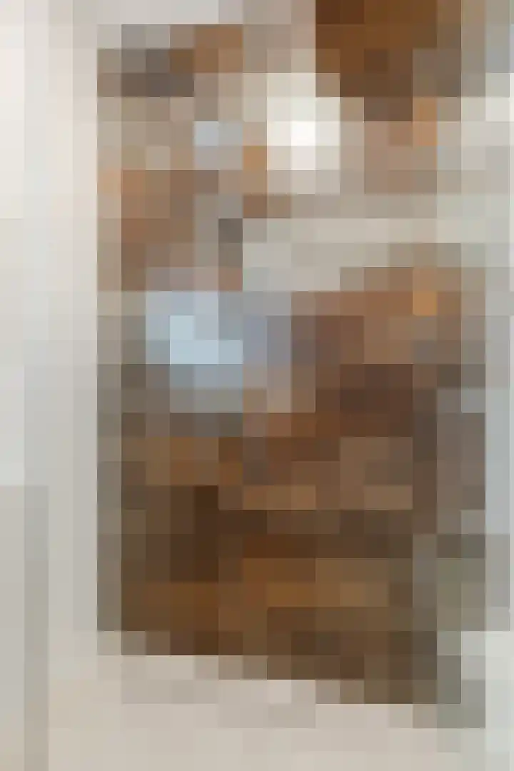Johann Strauszstraat 25 Halsteren thumbnail 32