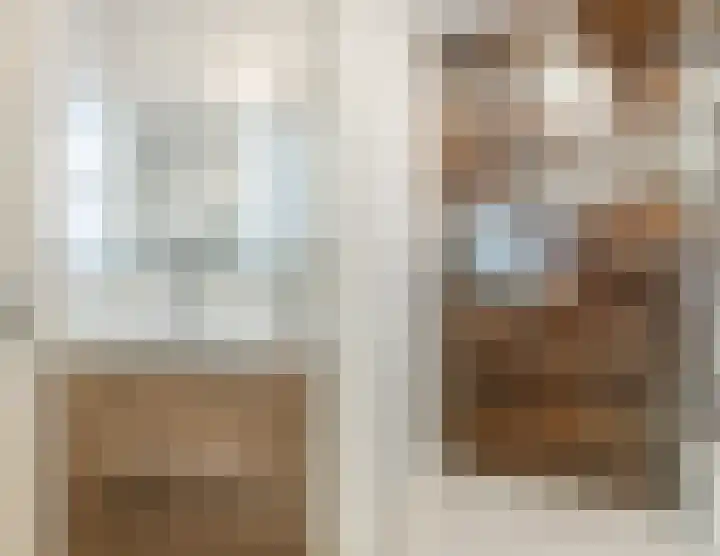 Johann Strauszstraat 25 Halsteren thumbnail 33